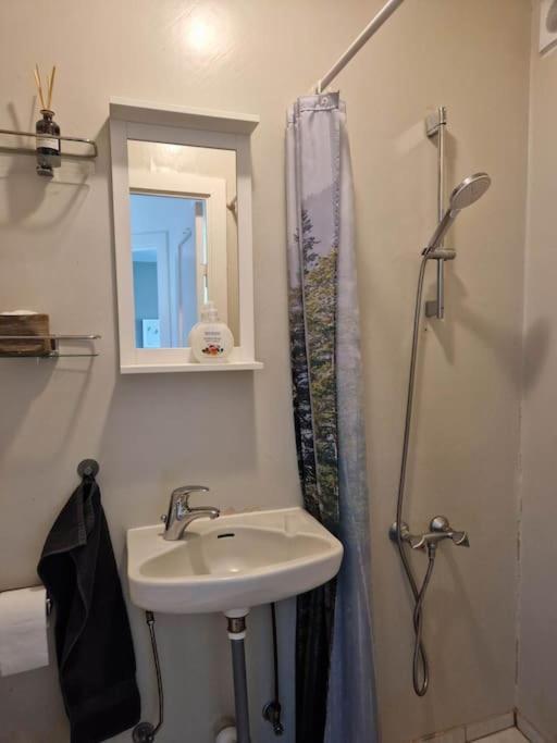 Apartment In Downtown Reykjavik Bagian luar foto